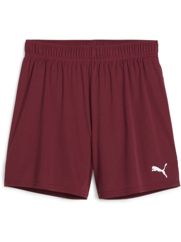 

Спортивные шорты TeamGoal Shorts Wmns красного цвета Puma