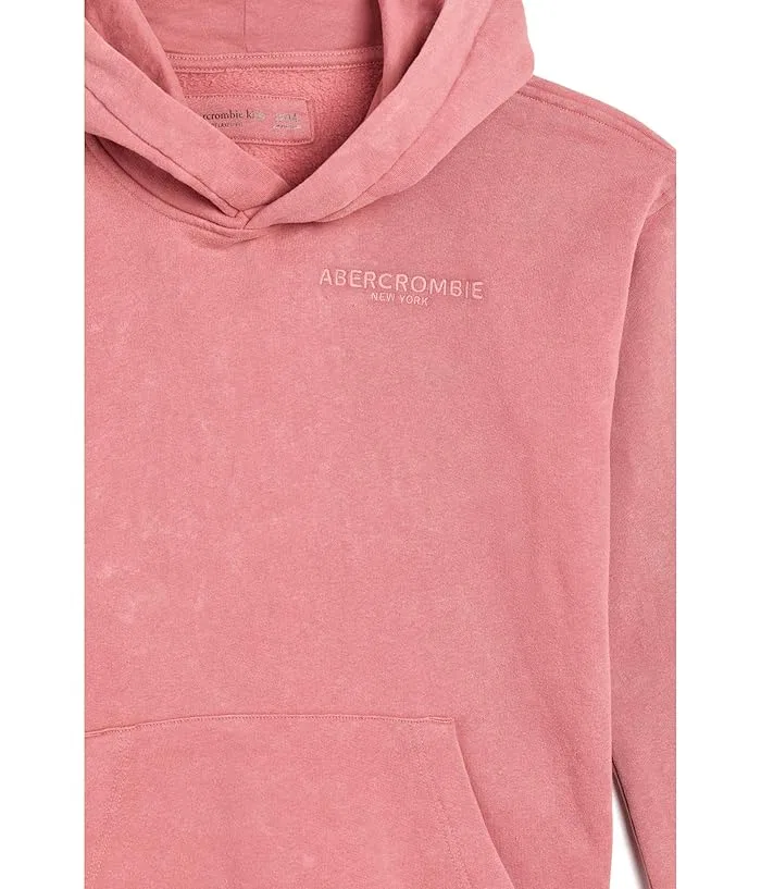 Худи Sunfaded Pullover Hoodie abercrombie kids, Dusty Rose — фото 3