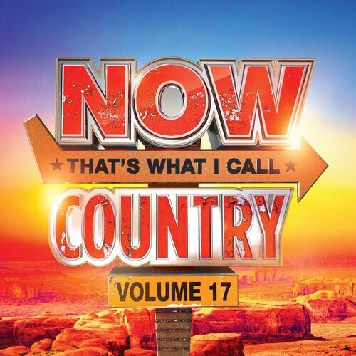 

Виниловая пластинка Now Country 17 / Various