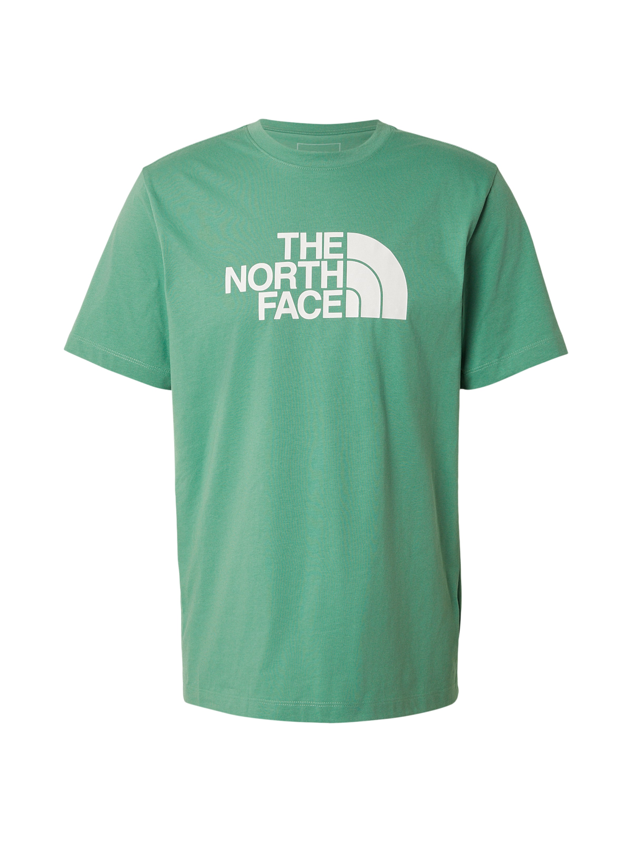 

THE NORTH FACE Футболка 'EVOLUTION HALF DOME' в цвете Green