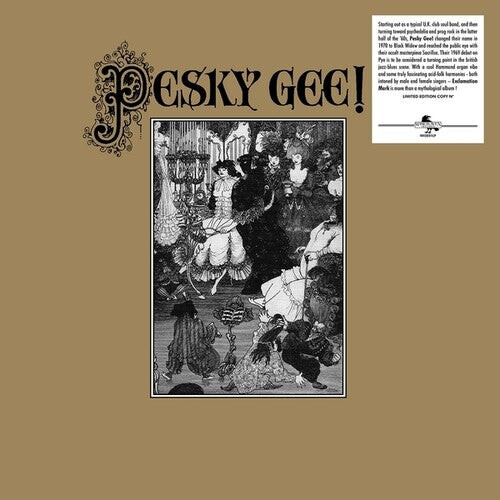 

Виниловая пластинка Pesky Gee: Exclamation Mark