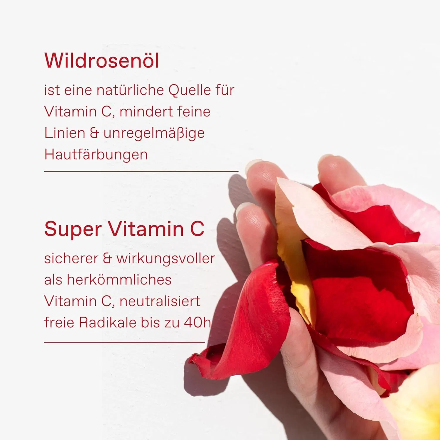 Набор для сияния кожи Apothecary Wild Rose Radiant Complexion от KORRES Korres — фото 4