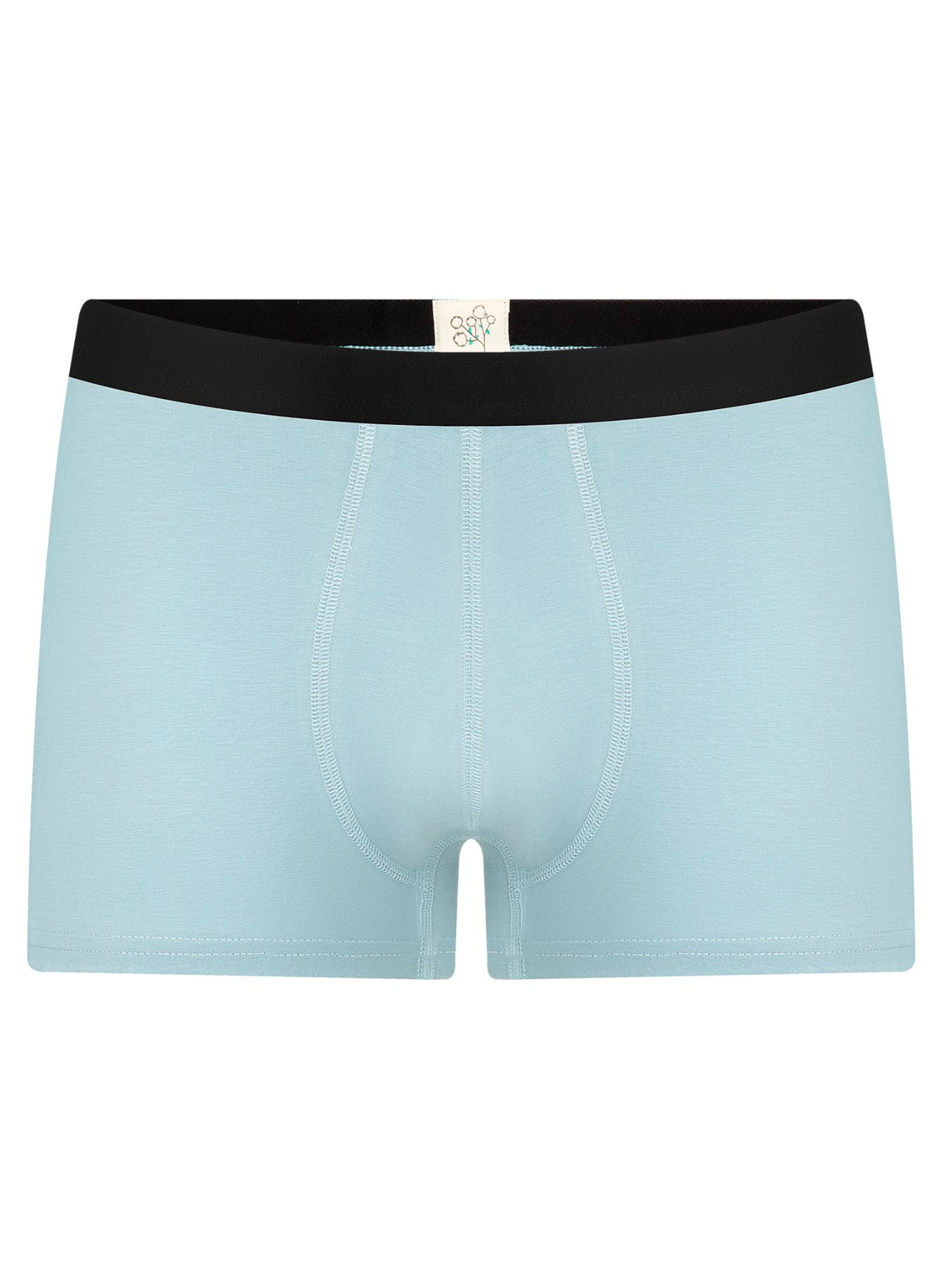 

Albero Natur Боксеры в пастельно-голубом цвете