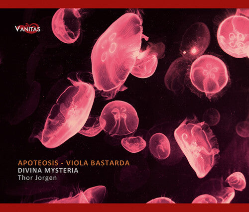 

CD диск Divina Mysteria / Jorgen / Amilcar / Gomez: Apoteosis: Viola Bastarda in 16th Century