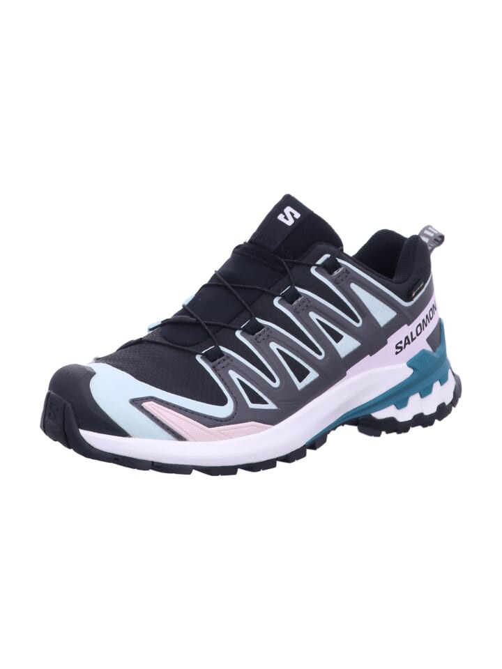 

Кроссовки SALOMON Sport Schuhe XA PRO 3D V9 GTX W, черный