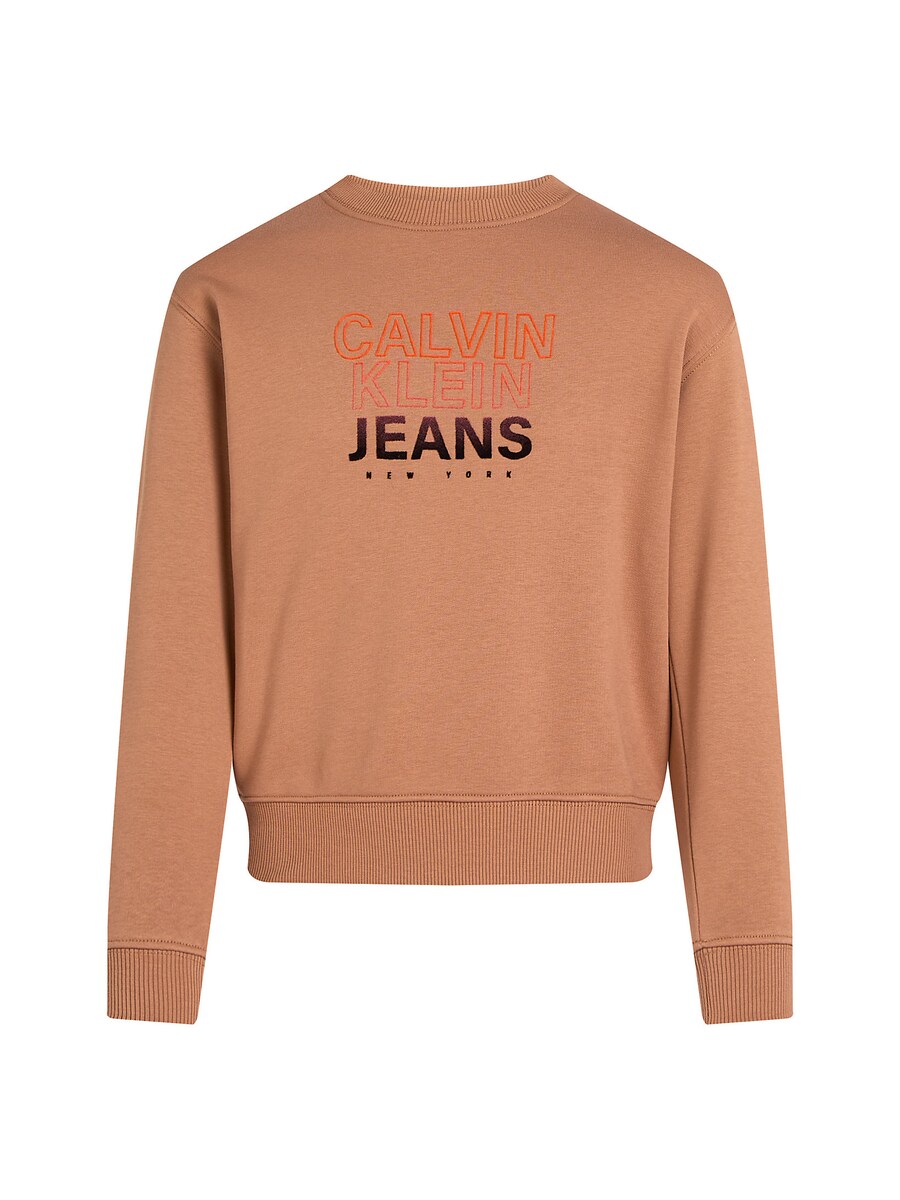 

Худи Calvin Klein Jeans Sweatshirt, коричневый
