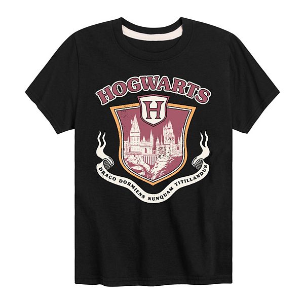 

Футболка с принтом Harry Potter Hogwarts Collegiate для мальчиков 8-20 Licensed Character, Black