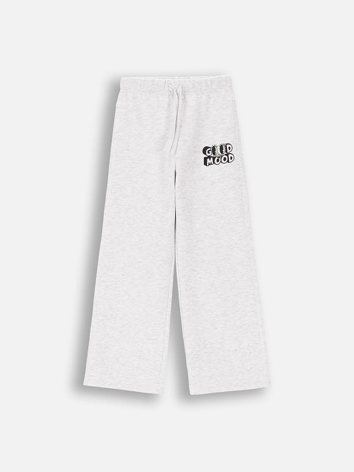 

Coccodrillo Спортивные штаны серого цвета