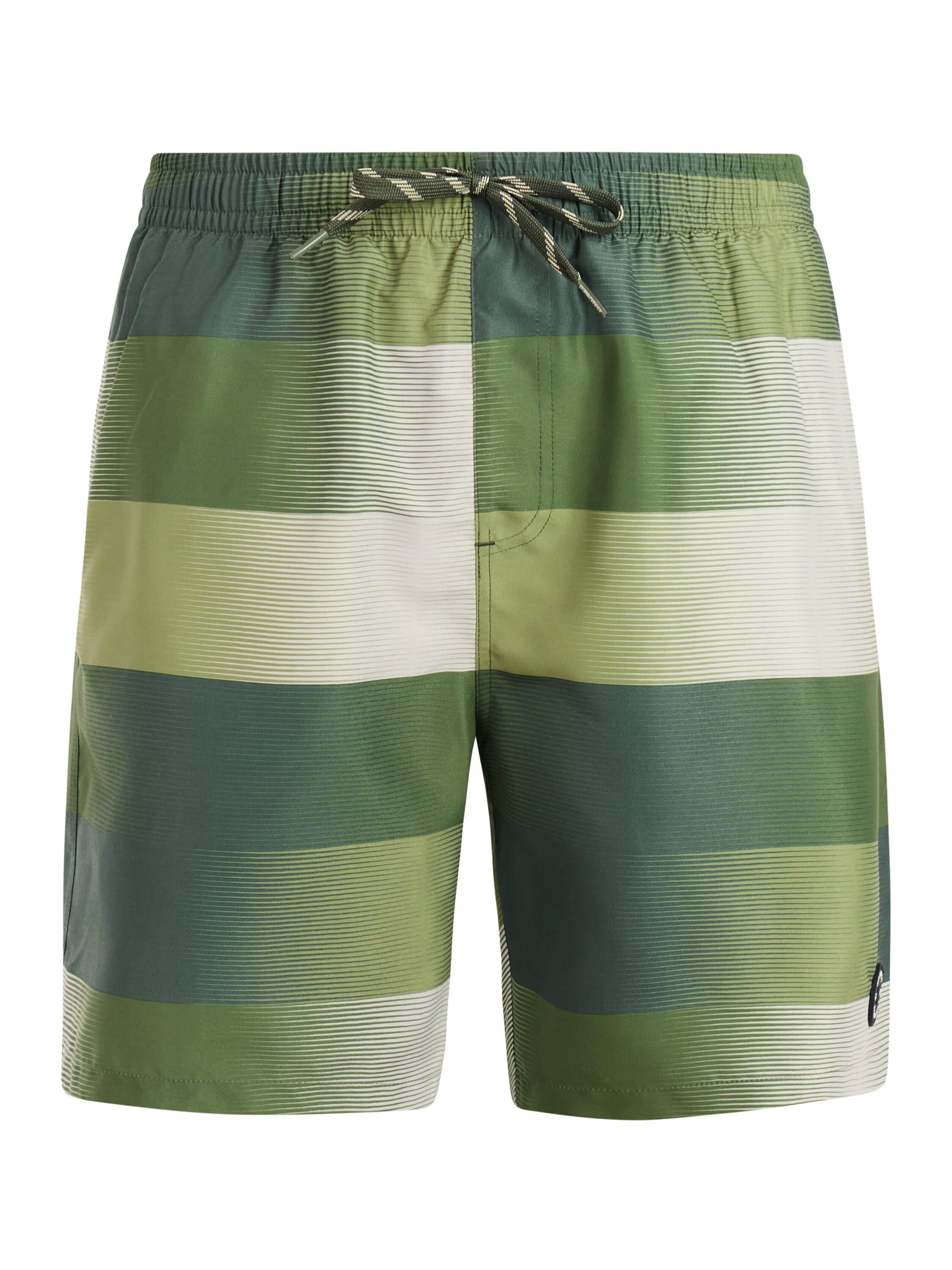 

PROTEST Шорты для серфинга 'PRTLomond' в цвете Grass Green