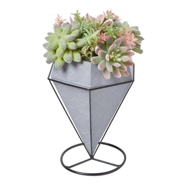 

Декоративное растение Homescapes Succulenten Arrangement, зеленый