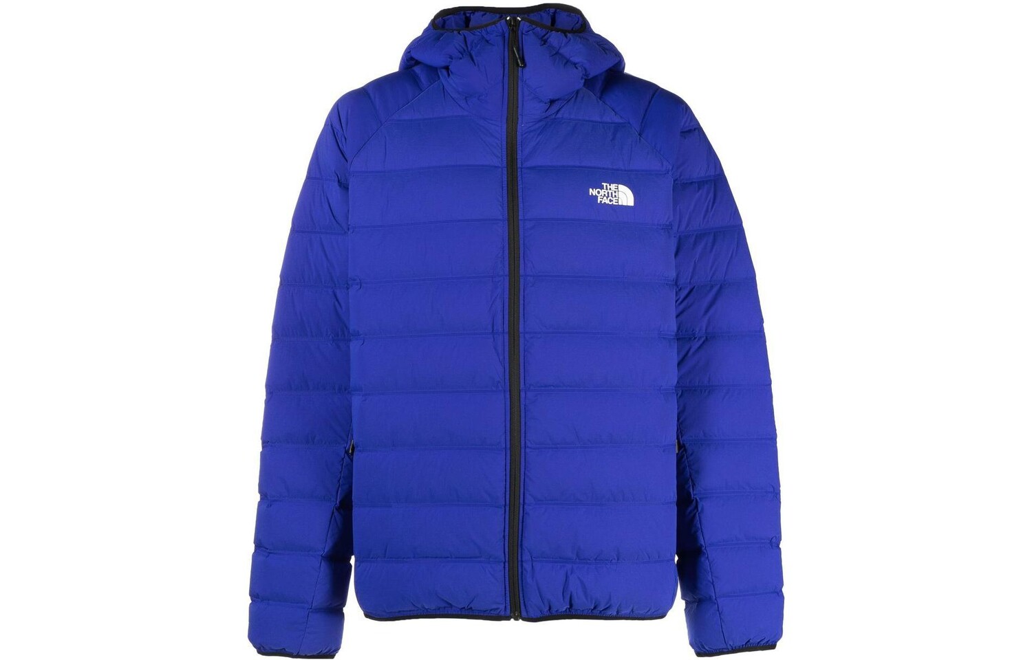 

THE NORTH FACE Мужской пуховик, цвет Blue