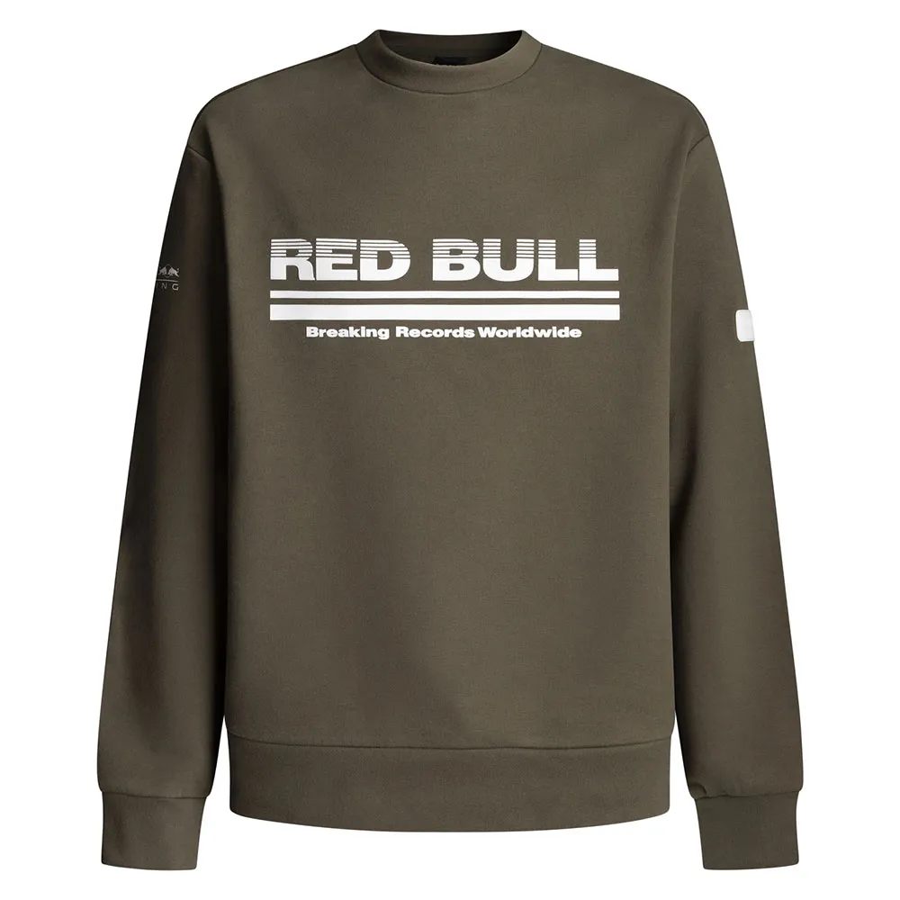 

Толстовка Red Bull Racing Dynamic Fade, зеленый