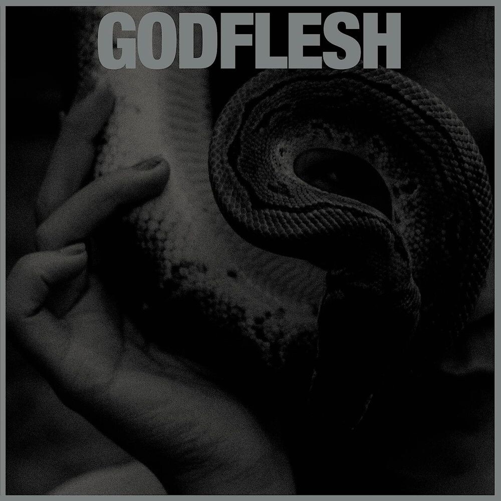 

Диск CD Purge - Godflesh