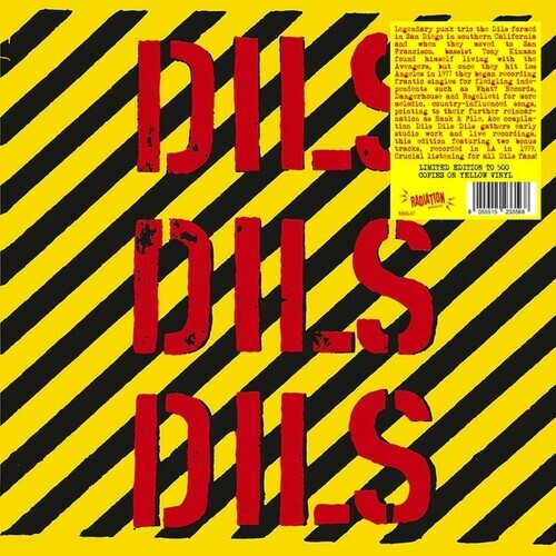 

Виниловая пластинка Dils: Dils Dils Dils