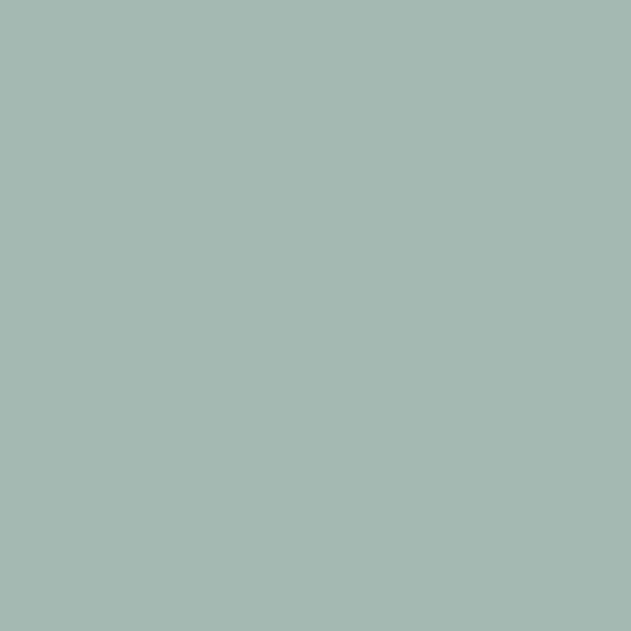 

Светлый цвет RAL 76, Paints - Greens, Blues, & Purples (Mission Models)