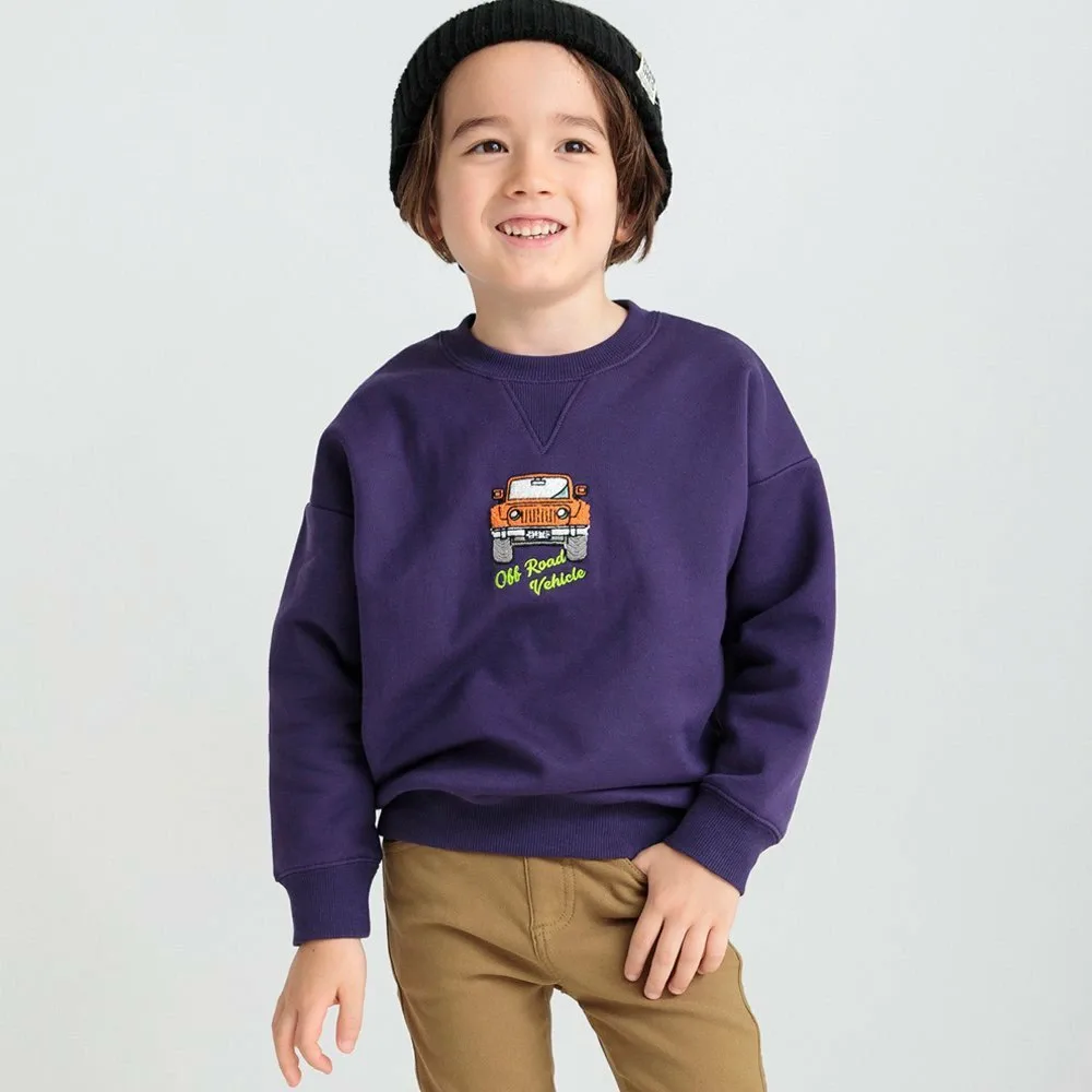 Толстовка с автомобильным рисунком на флисовой подкладке Branshes, purple
