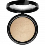 Pierre René хайлайтер для лица 01, 12 г - фото 3