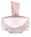 Парфюмерная вода Jeanne Arthes Cassandra Rose Intense, 100 мл - фото