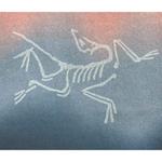 Футболка Kragg мужская Arcteryx, черный - фото 8