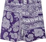 Шорты Aries Bandana Shorts 'Navy', синий - фото 3