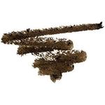 Карандаш Browie Wowie Expresso L.A. Colors - фото 2