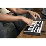 Akai Professional MPK MINI MKIII БЕЛЫЙ - фото 11
