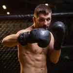 Боксерские перчатки DBX Bushido B-2v18 спарринг - фото 3