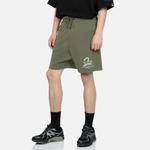 Спортивные шорты мужские Evisu, черный - фото 7