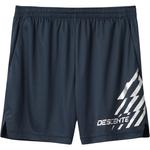 Шорты Casual Unisex DESCENTE, черный/серебристый - фото 2