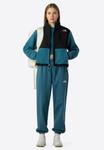 Флисовая куртка The North Face W RETRO DENALI JACKET, Space/Light Blue - фото 2