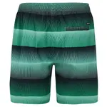 Шорты для плавания Protest Radar, зеленый - фото 2