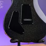 PRS Swamp Ash Special Black Rainbow Hollowflake - фото 10