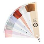 Краска для волос lex Filter Color Metallic Apricot 100ml - фото 2