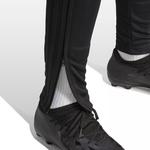 Мужские спортивные брюки Adidas TIRO 24, черный - фото 6