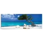 Фреска Reinders Divi Divi Baum, синий - фото