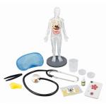 Буки Человеческое тело Buki France - фото 4