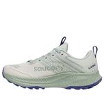 (WMNS) Saucony Ride TR2 GTX 'Quartz Mist' - фото