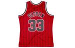 Баскетбольное джерси Mitchell & Ness SW 95-96 33 - фото 2