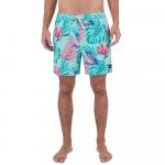 Шорты для плавания Hurley Cannonball Volley 17´´, синий - фото