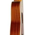 Акустическая гитара James Neligan BES-A DCB Bessie Series Auditorium Solid Spruce Top 6-String Acoustic-Electric Guitar - фото 3