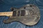PRS Swamp Ash Special SE 2024 - Уголь - фото