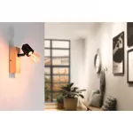 Потолочный светильник Arvid E27 1 шт. E27 Paulmann, черный - фото 5