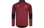 Мужское футбольное джерси Puma, цвет Maroon - фото
