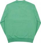 Толстовка Palace Basically A Crew 'Washed Green', зеленый - фото 3