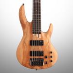 Басс гитара ESP LTD B205SM Electric Bass, 5-String, Natural Satin - фото