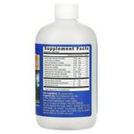 Eidon Mineral Supplements, Multiple Mineral, 533 мл (18 унций) - фото 3