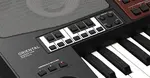 Синтезатор Korg Pa700 Oriental Pro Arranger с сумкой KORG - фото 4