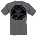 Футболка Testament Bay Area Thrash Blackout, угольный - фото 2