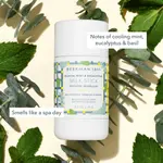 Дезодорант Milk Stick Invisible Deodorant Beekman 1802, Glacial Mint & Eucalyptus - фото 5