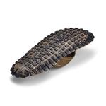 Шлепанцы Islander Gumbies, хаки - фото 3